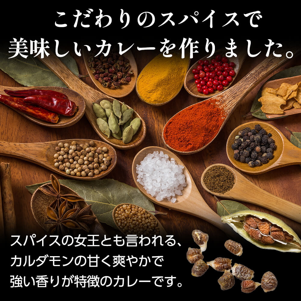 スパイスカレー ビーフ(4袋)ビーフカレー 工場直送 レトルトカレー インスタントカレー 防災グッズ 保存食(常温便)(送料無料)