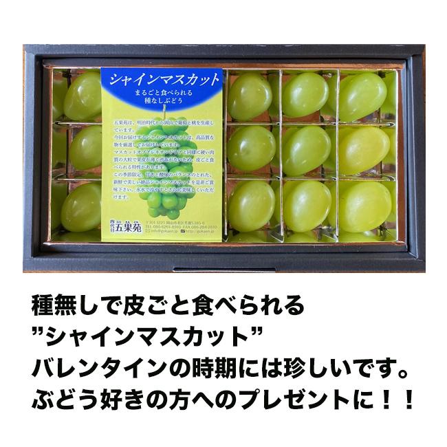 岡山県産　越冬ぶどう　シャインマスカット 18粒入り