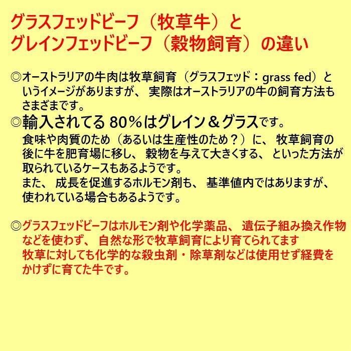 赤身肉　リブアイロース 250ｇカット(500g)　グラスフェッドビーフ 牧草牛 赤身肉 ステーキ肉 ローストビーフ リブロース キューブロール