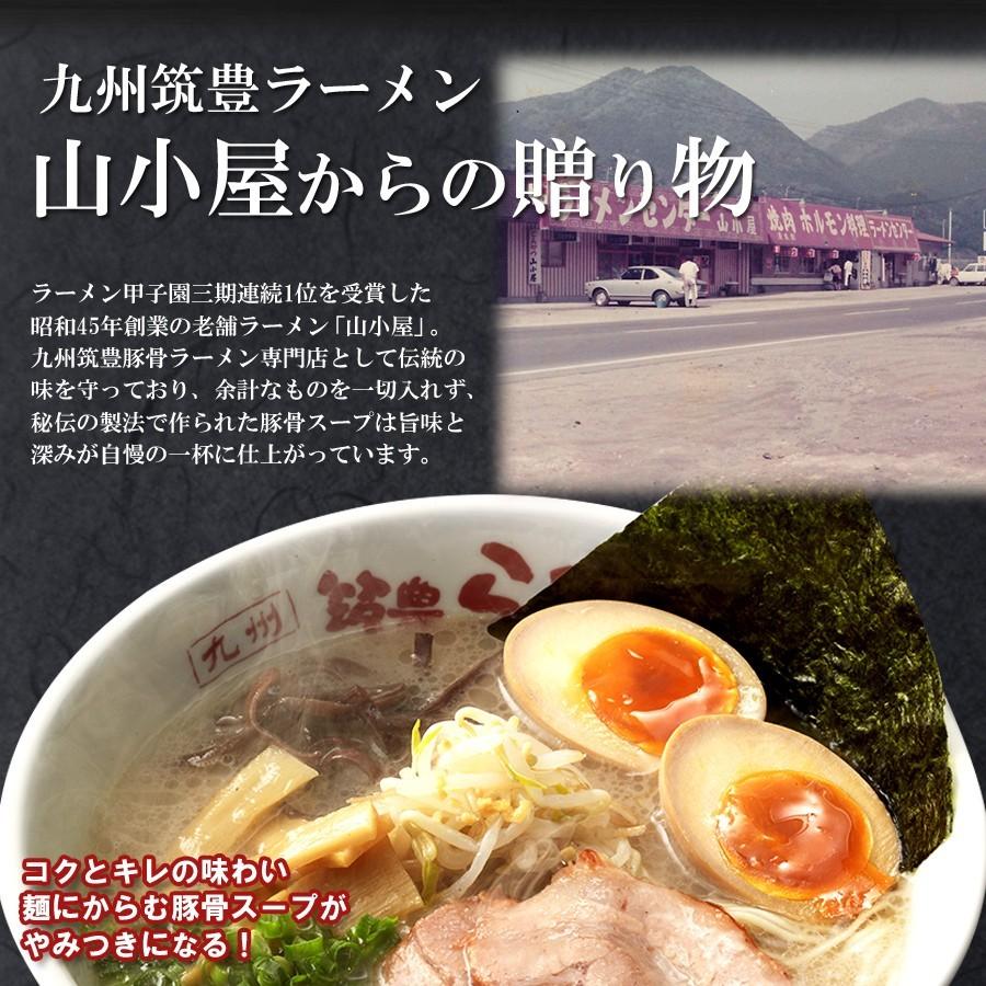 名店豚骨ラーメン 山小屋からの贈り物 10食お試しセット 取り寄せ（2食入X5箱） 筑豊豚骨ラーメン 半生麺