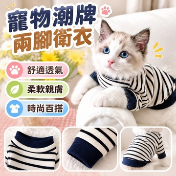💯臺灣出貨💯免運💯夏季Ins寵物狗狗潮牌帥氣小奶英短布偶貓咪衣服兩腳衛衣四季 ZGAB
