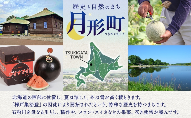 北海道 青肉メロン 月雫 優品 4～6玉 計約8kg メロン 果物 フルーツ 旬 季節 希少 甘い 豊潤 国産 北海道産 デザート ご褒美 産地直送 産直 ギフト お祝い 贈答品 贈り物 御中元 常温 お取り寄せ 送料無料