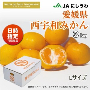 [予約 2023年 11 20から日時指定可] 西宇和みかん Lサイズ 約 3kg 愛媛県 西宇和 にしうわ レギュラー デイリーみかん 早生 中生 南柑 ミ