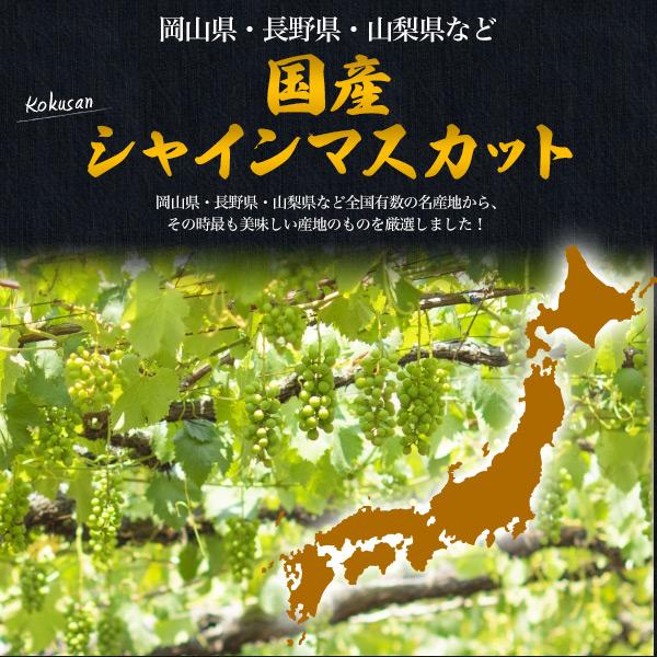 シャインマスカット 国産 20粒セットLL 20粒入りギフトボックスセット 自宅用 ギフト 手土産 季節の贈り物に