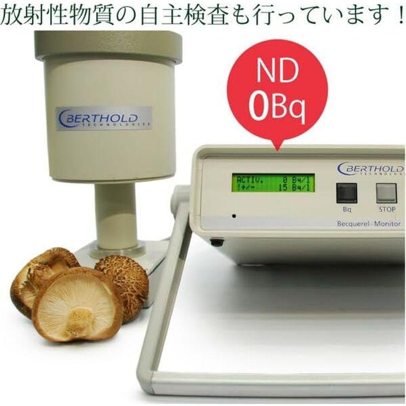 原木生シイタケ 100g 国産 無農薬・無化学肥料 椎茸