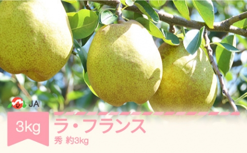 ラ・フランス 洋梨 ラフランス 秀 約3kg 2024年産 令和6年産 果物 ja-lasyx3