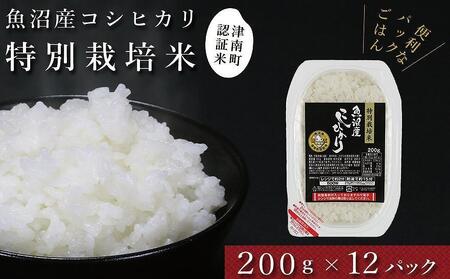 魚沼産コシヒカリ「特別栽培米」200g×12袋 パックライス（令和5年産）