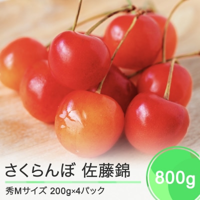 さくらんぼ 佐藤錦 秀Mサイズ 約800g(200g×4パック)フードパック 2024年産 山形県産