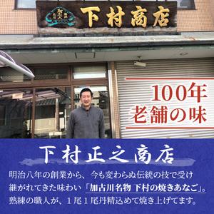 ふるさと納税 焼あなご(2〜3串)《串焼き 天然 蒲焼き あなご丼 穴子丼 送料無料 お取り寄せ 美味しい パリパリ おすすめ プレゼント 贈答 人気.. 兵庫県加古川市