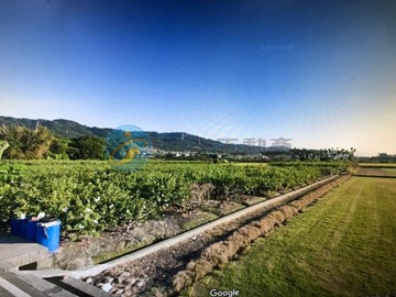 彰化社頭方正農地｜彰化縣社頭鄉社石段