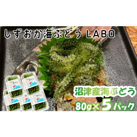 ふるさと納税 海ぶどう 80g×5パック 産地直送 数量限定（沼津産 海ぶどう 産地直送 海ぶどう こだわり 海ぶどう） 静岡県沼津市