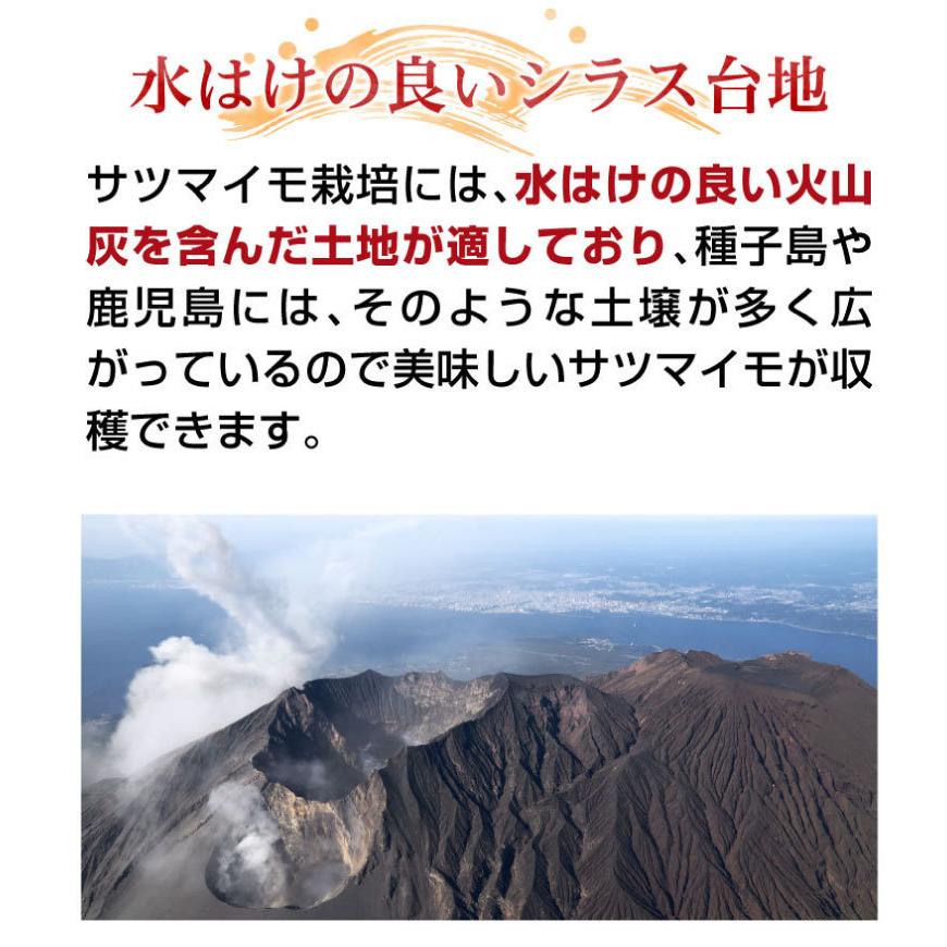 さつまいも 紅はるか A品 生芋 Sサイズ80g〜130ｇ土つき 鹿児島 産地直送 3kg×1箱 送料無料 S常