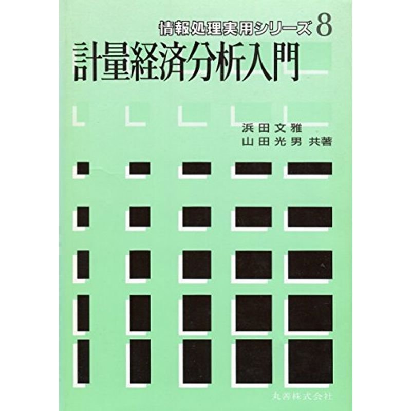 計量経済分析入門 (情報処理実用シリーズ)