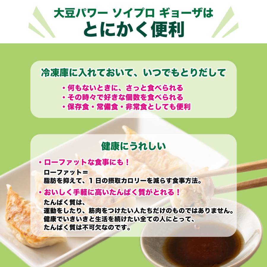  大豆パワー ソイプロギョーザ  送料無料 冷凍便 冷凍餃子 大豆ミート 餃子 ぎょうざ 大豆 ソイミート グルメ 食品 惣菜