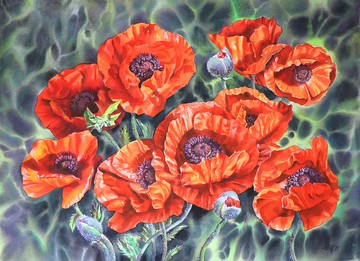 藝術家 Irina Zhunaeva 的罌粟原創水彩畫