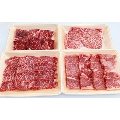 ふるさと納税 朝倉市 井上牧場　朝倉和牛　BBQセット