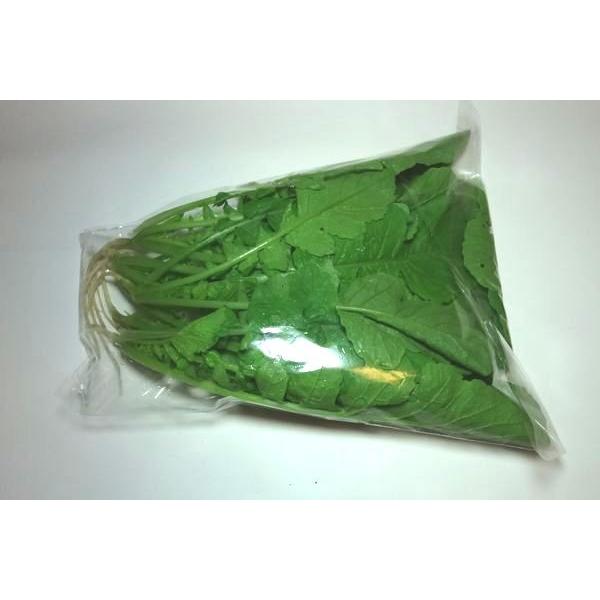 葉大根　福岡産　約200ｇ