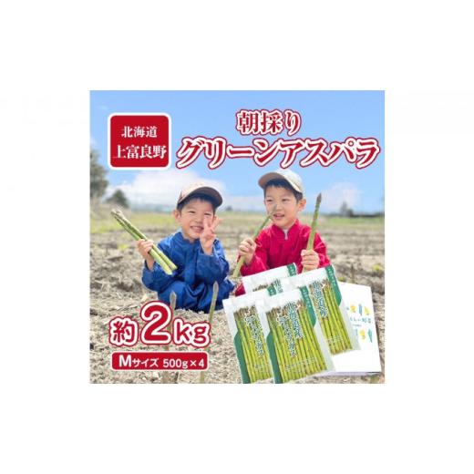 ふるさと納税 北海道 上富良野町 アスパラ専門農家の特選グリーンアスパラ2kg（M）アスパラガス 原農園 あすぱら 野菜 北海道 上富良野町…