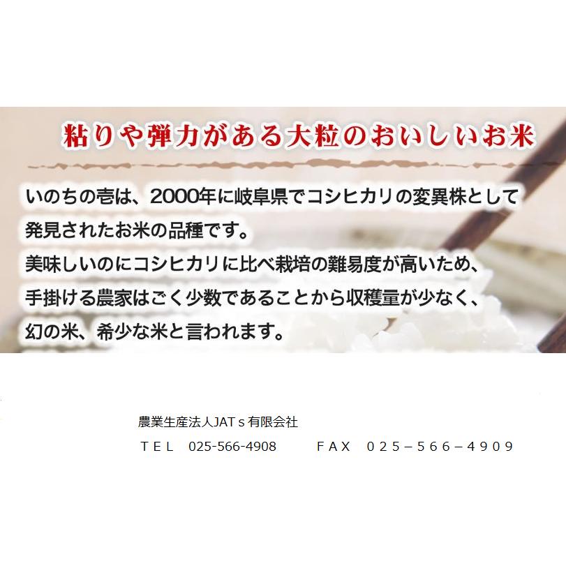 お米 30kg 白米 送料無料 新潟県糸魚川産 農家直送 新米 令和5年度産