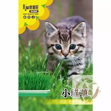 【主子最愛】原包裝小貓草種子｜天然化毛 排毛保健｜5-7天速成 水耕土耕皆可｜新手奴才必備 附超簡單種植法｜現貨秒發