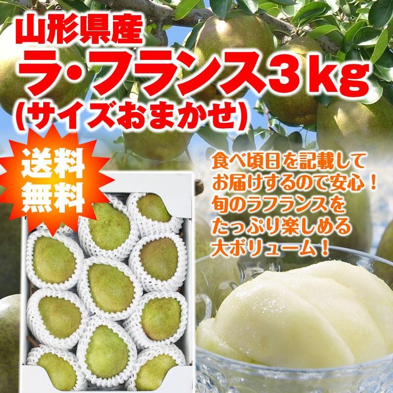 ギフト ラ・フランス 送料無料 洋梨 山形県産 3kg（サイズおまかせ）ラフランス