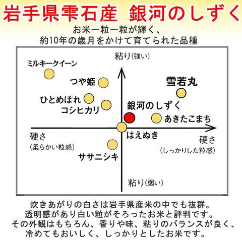 新米 米 お米 おこめ 令和5年産  銀河のしずく 玄米20kg 5kg袋×4 (無洗米に精米後4.5kg×4袋 )岩手県産 白米・無洗米・分づきにお好み精米 送料無料 当日精米