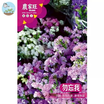 【原廠包裝】勿忘我種子(Forget-me-not)1.5克裝  乾燥花DIY首選 開花不斷 四季可種 陽台盆栽易種