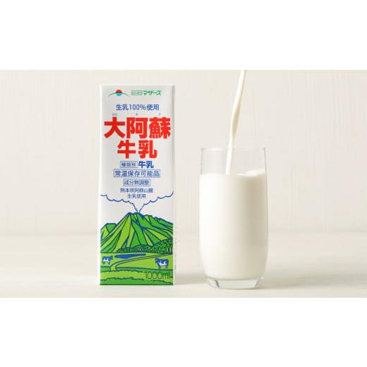 ふるさと納税 熊本県 益城町 大阿蘇 牛乳 1L 紙パック 6本入 合計6L 成分無調整牛乳 乳飲料