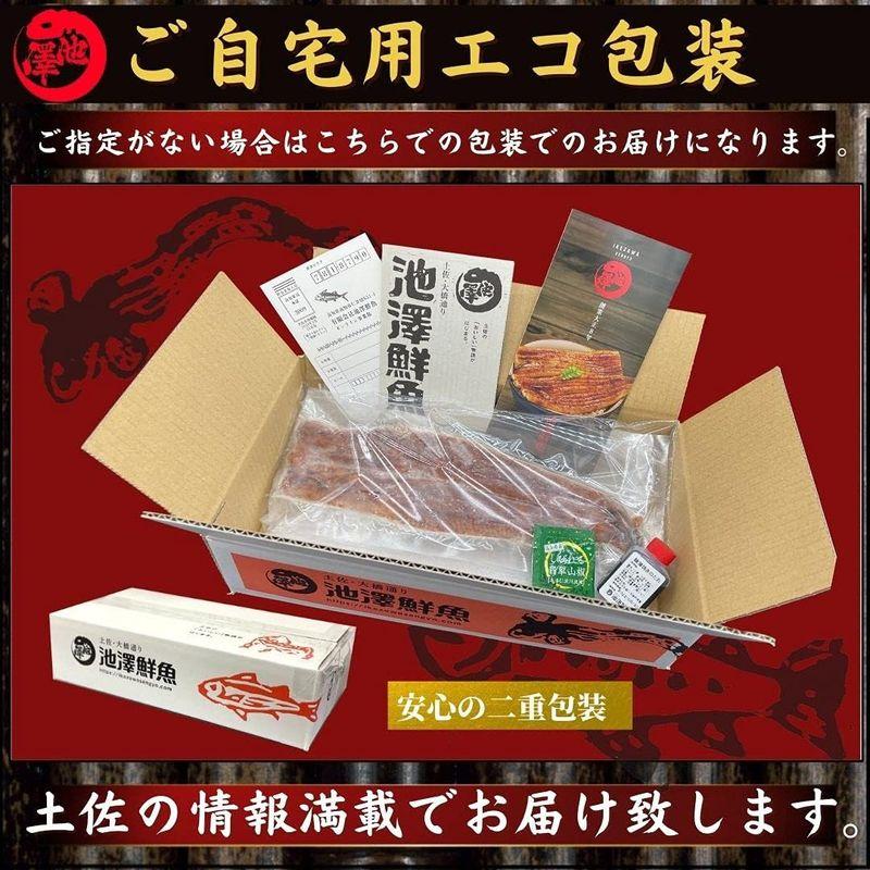 池澤鮮魚 国産 うなぎ 超特大 蒲焼き 250g以上×2尾 誕生日 ギフト (贈答用ギフト包装)