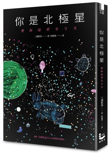 你是北極星[二手書_普通]