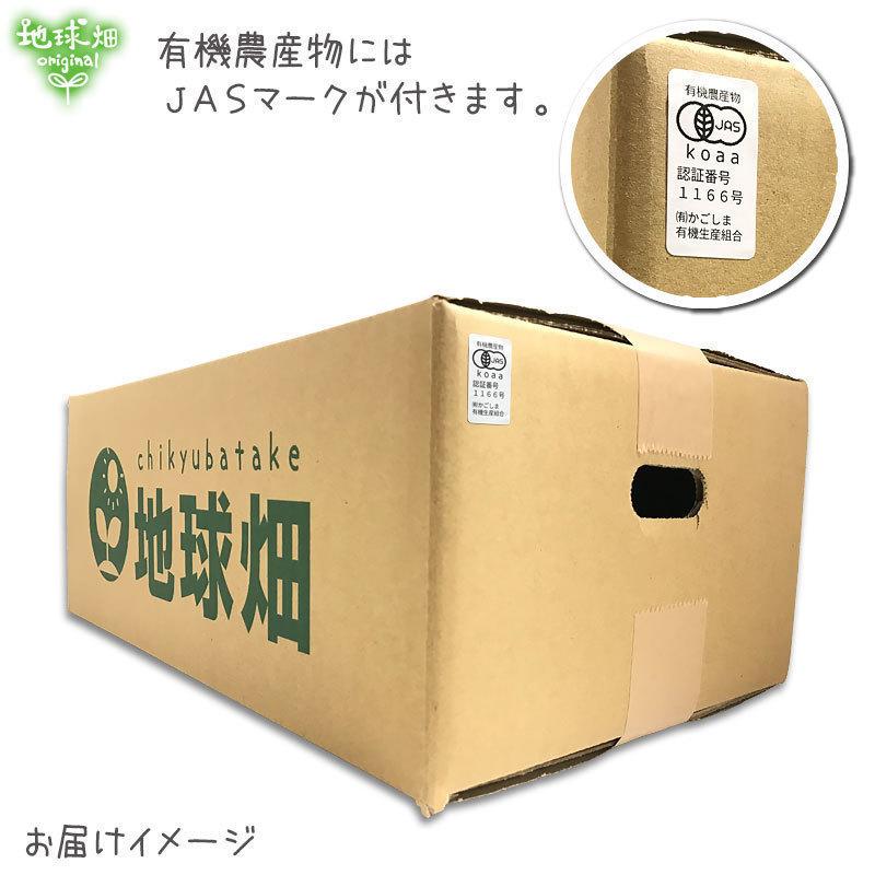 有機かぼちゃ 5kg(2〜4玉) 鹿児島県産 宮崎県産 栗系品種 有機栽培 有機JAS 南瓜 オーガニック カボチャ 南京 無農薬 発送期間6〜7月 11〜12月