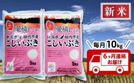 16-I106新潟県胎内市産こしいぶき10kg（5kg×2袋）