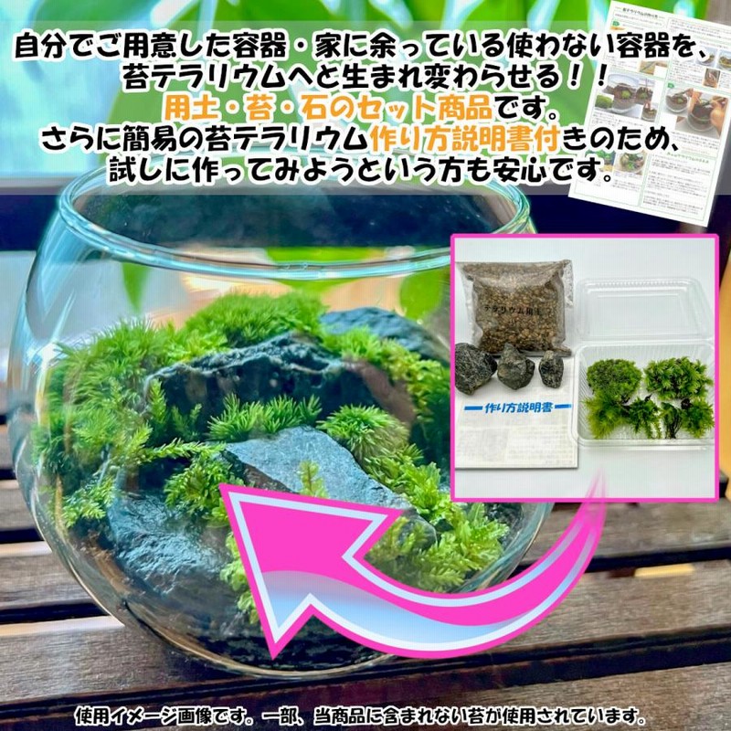 購入 苔テラリウム 苔4種 用土 石 作り方説明書 キット セット オブジェ 自作 手作り 初めて 初心者 中身 ガラス容器別 作り方 自作プレゼント  ソウル