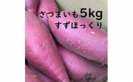 BS-18　さつまいも　すずほっくり　5kg