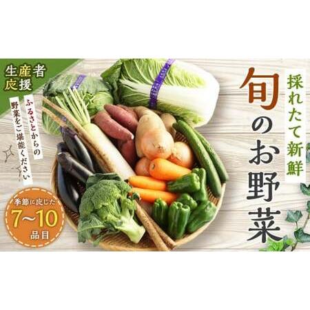 ふるさと納税 生産者応援 採れたて新鮮 旬のお野菜 詰め合わせセット 熊本県西原村