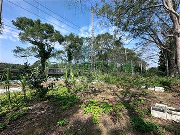 住商小綠-名人堂旁低總價美農地｜桃園市龍潭區三林段