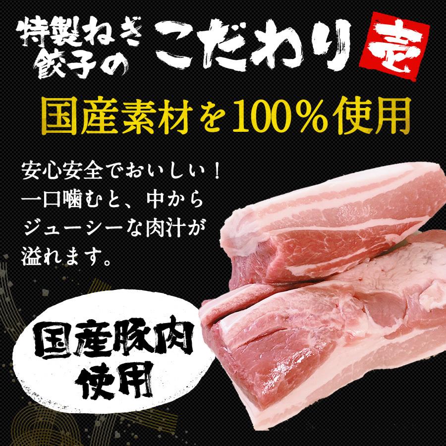 餃子 取り寄せ 送料無料 業務用 冷凍 生餃子 国産素材 時短 お手軽 簡単 大容量 餃子計画 緑皮九条ねぎ餃子100個入り