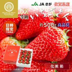 [予約 2024年1月5日-1月30日の納品] いちごさん 約500g 佐賀県産 高品位 化粧箱