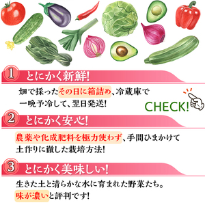  ＜アスカ有機農園＞旬の京野菜セットS＊毎月お届け全12回