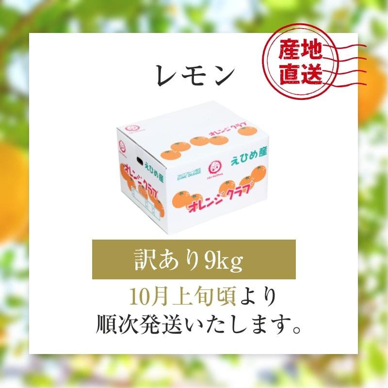 レモン 訳あり 9kg 国産 愛媛産 送料無料 産地直送 柑橘 フルーツ 果物 防腐剤 防カビ剤 不使用 ノンワックス