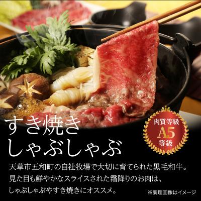 ふるさと納税 天草市 黒毛和牛 A5ロース すき焼き切り落とし500g たれ付_S001-020-T06A