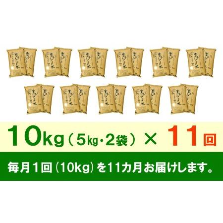 ふるさと納税 3人に1人がリピーター!☆全11回定期便☆ 岩手ふるさと米 10kg(5kg×2)×11ヶ月 令和5年産 新米 一等米ひとめぼれ 東北有数.. 岩手県奥州市