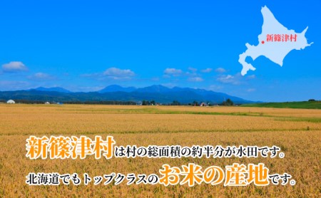 北海道 定期便 12ヵ月 連続 全12回 R5年産 北海道産 ゆめぴりか 10kg 精米 米 白米 ごはん お米 新米 特A 獲得 北海道米 ブランド米 道産 ご飯 お取り寄せ もちもち 1年 食味ランキング まとめ買い 新しのつ米 令和5年産 常温 送料無料