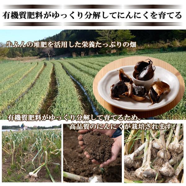 黒にんにく 黒ニンニク 200g にんにく ニンニク ガーリック ギフト 産地直送 国産にんにく 国産ニンニク 国産 大分県日田産