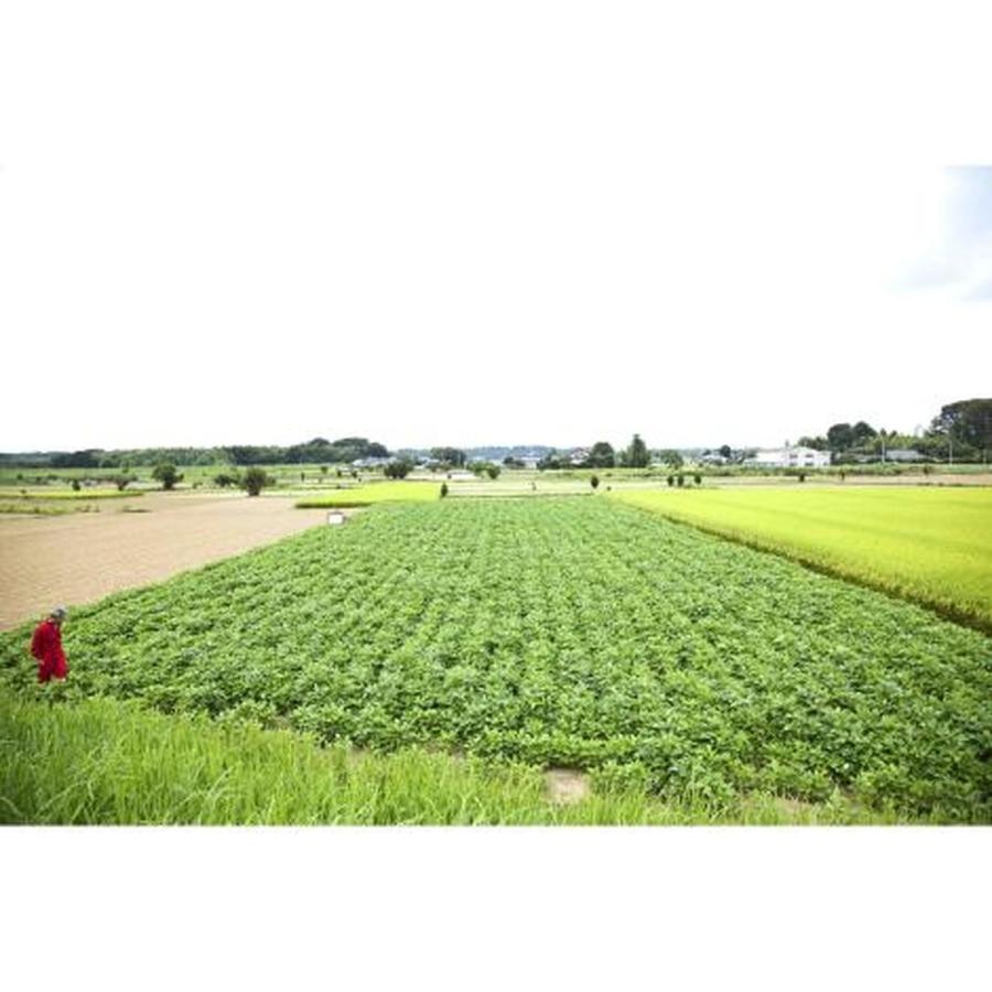 トーコーフーズ 水戸納豆(80g×30個)