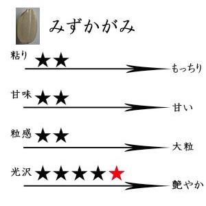 新米 玄米 30kg 滋賀県東近江産 みずかがみ 諏訪一男 令和5年産 環境こだわり農産物