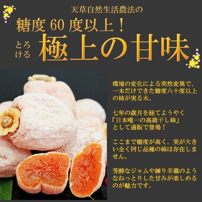 干し柿 3個入 糖度60度以上! お茶菓子 高級お取り寄せ ギフト ドライフルーツ 手土産 甘い 糖度 くまもと プレゼント お彼岸