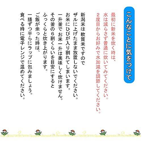 新米 新潟県産コシヒカリ 白米 10kg（5kg×2袋）令和3年産 新潟辰巳屋（産地直送米）… (10kg)