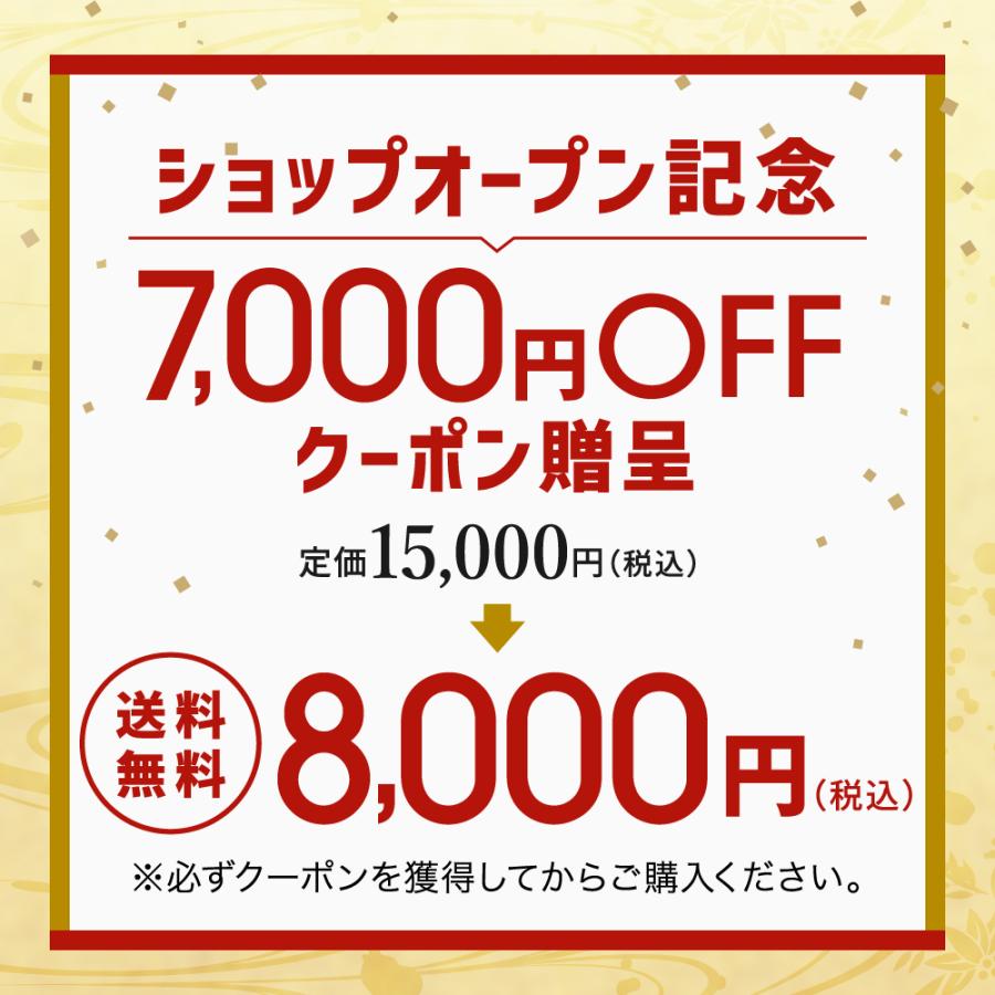 《7,000円OFFクーポン付き》 おせち おせち料理 お節 2023 2024 デリシャスボックス 「中華の宴」 三段重 3人前 33品目 和風 中華風 冷凍 予約 送料無料