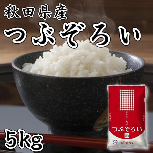 秋田県産 つぶぞろい 5kg 令和5年産 米 粒大きく 柔らかい食感 旨み お取り寄せグルメ